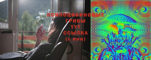 дмт Алексеевка