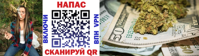 Каннабис план  ссылка на мегу как зайти  сайты даркнета официальный сайт  Тверь 
